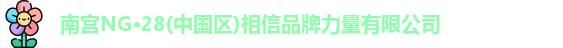 南宫NG28